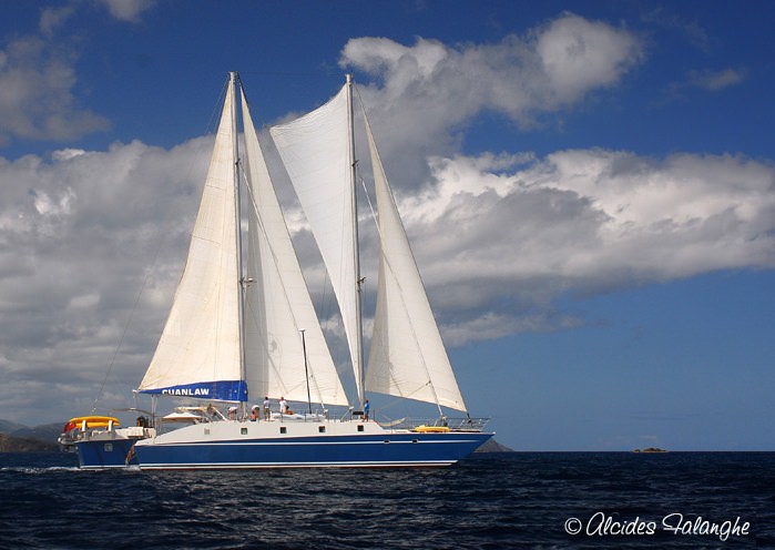 Cuan Law Crewed Trimaran Sailing