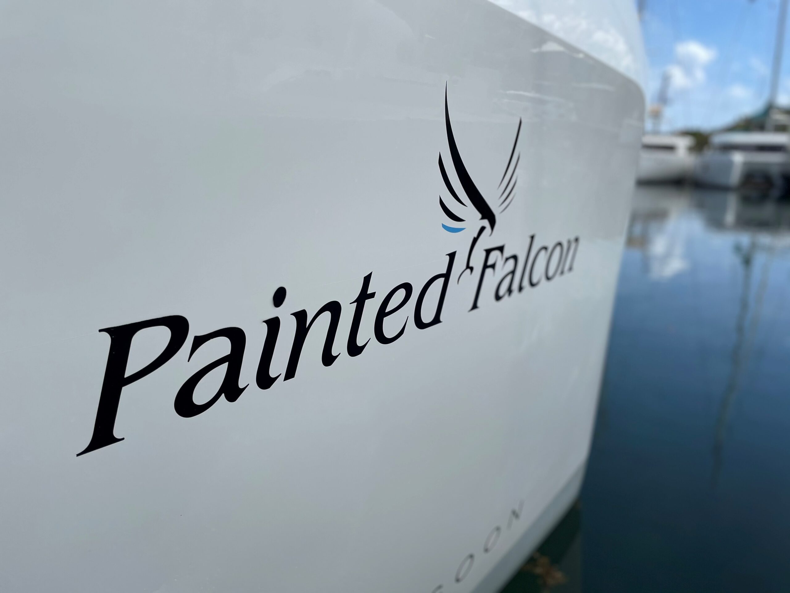 TMM Lagoon 42 Painted Falcon bareboat hull logo