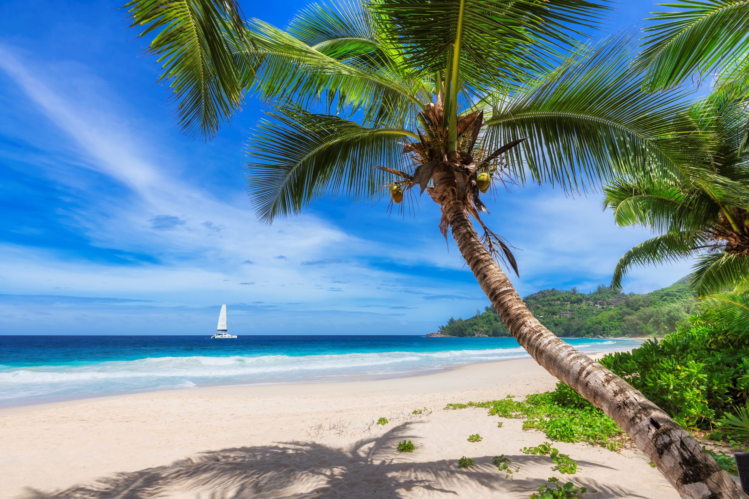 Catamaran sailing near a sandy beach in the Caribbean