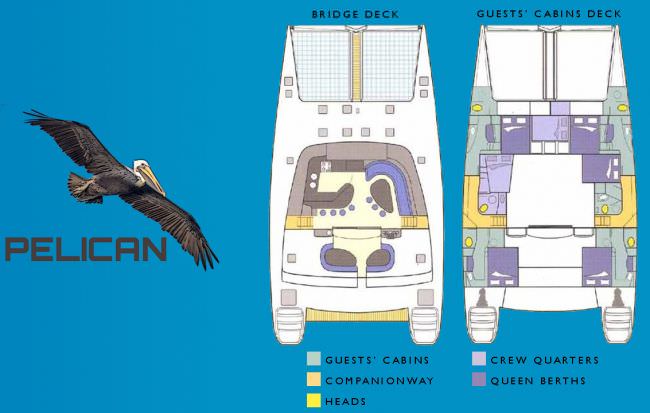 Pelican Crewed Voyage Catamaran layout