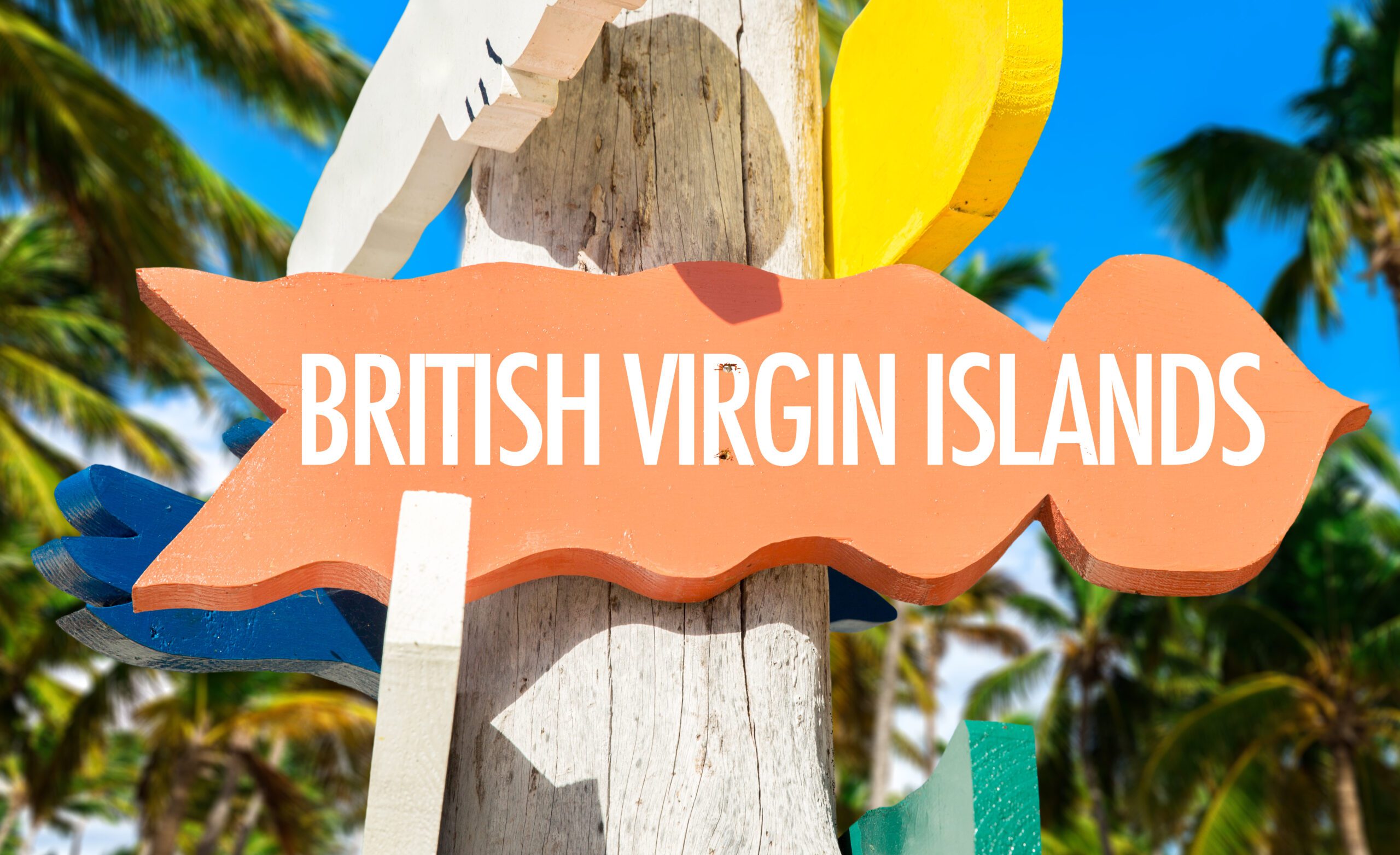 BVI sign in tropical color