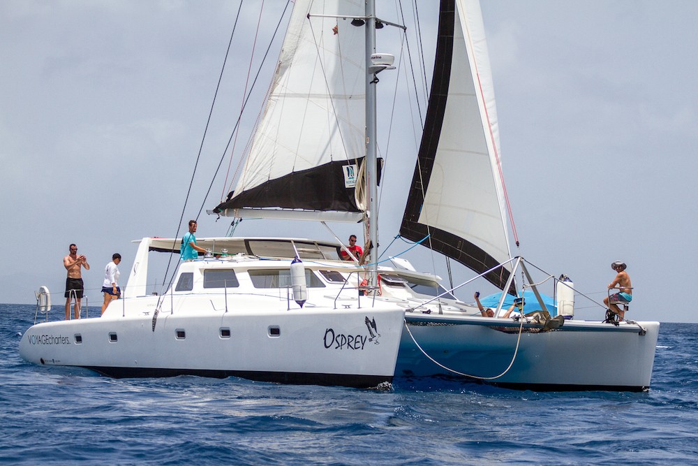 Voyage 520 Osprey Catamaran in the BVI