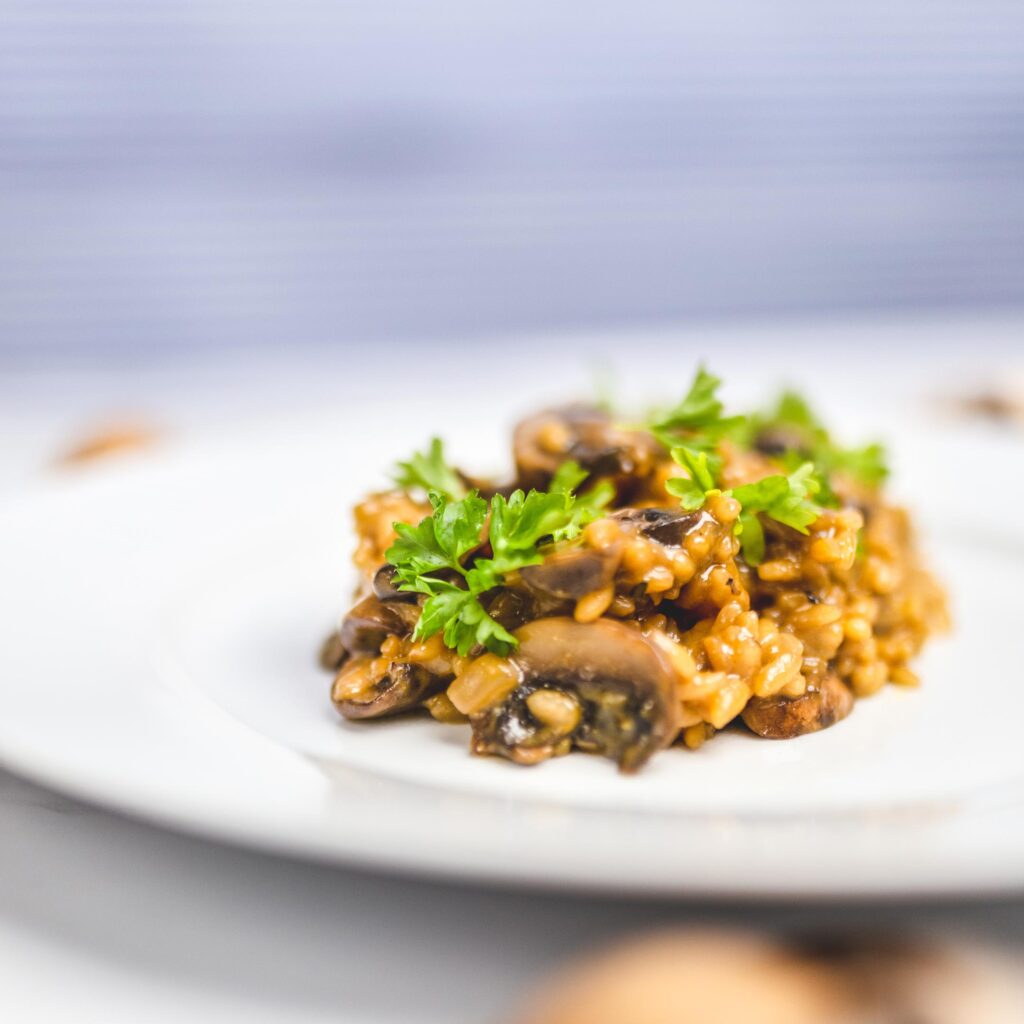 SOL Crewed Power Catamaran Wild Mushroom Risotto