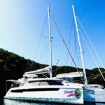 Changes in Latitudes Crewed Leopard 50 Catamaran Charter Sailing the BVI.