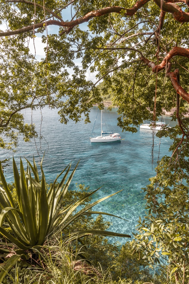 anse noire martinique