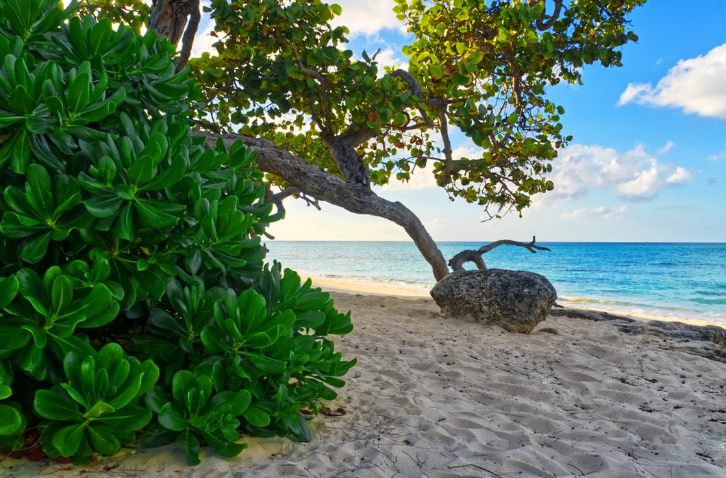 nassau bahamas